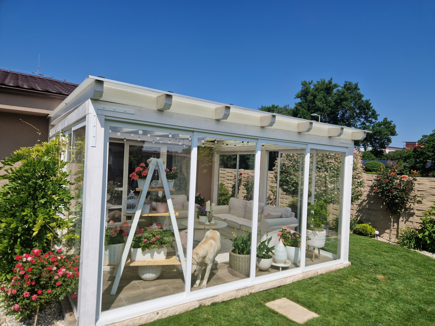 Une véranda moderne, blanche et vitrée, agrémentée de fleurs et de mobilier, dans le jardin d'une maison individuelle